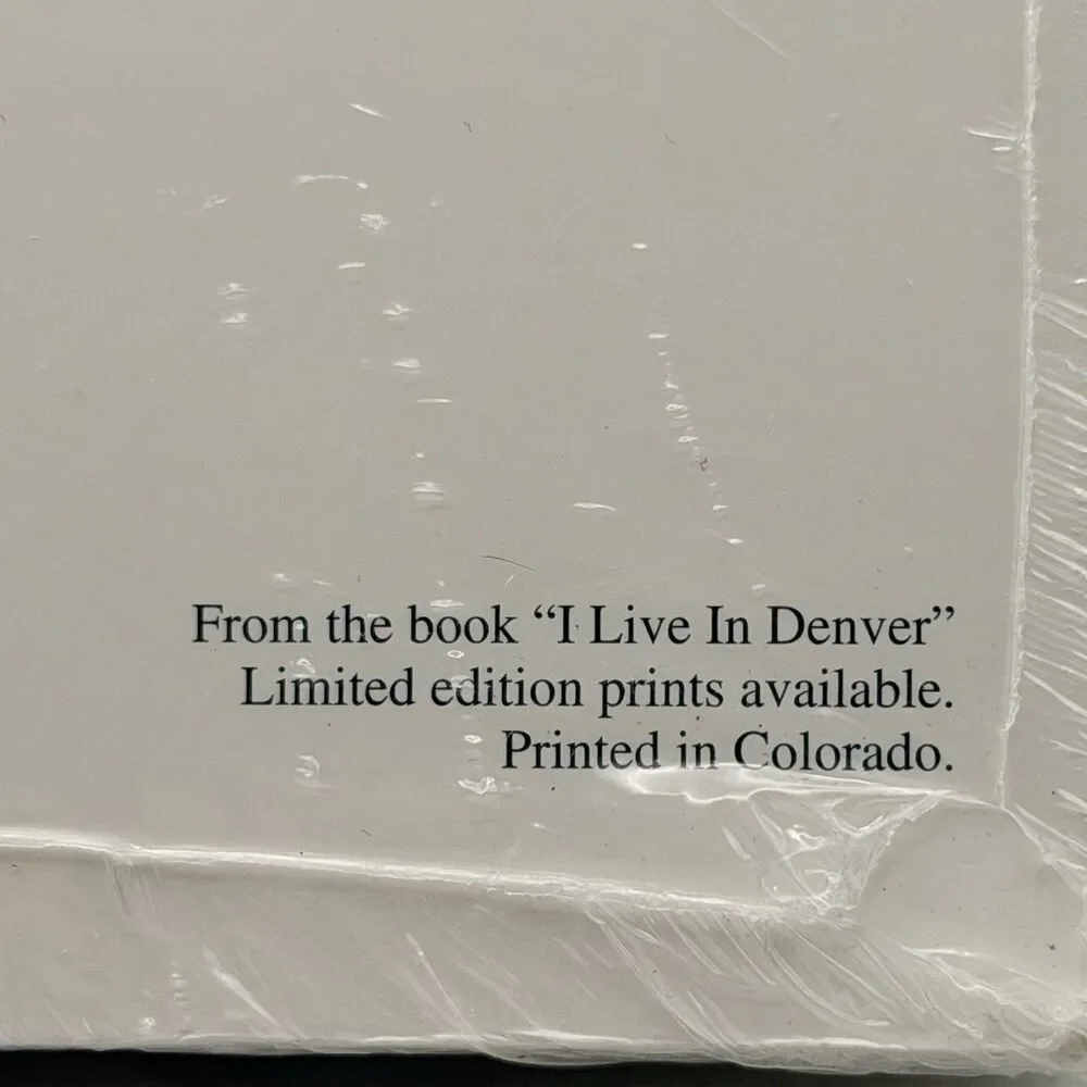 Elizabeth Nelson I Live In Denver 5x7 Note Cards Sealed 40-50 Est NOS